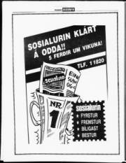 Síða 13