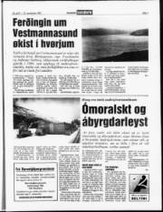 Síða 7