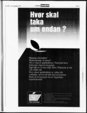 Síða 11