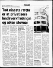 Síða 13