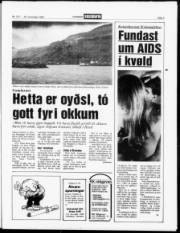 Síða 3