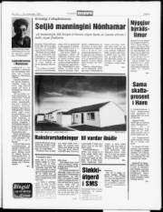 Síða 5