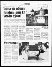 Síða 6
