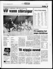 Síða 13