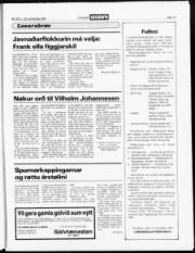Síða 17