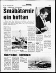 Síða 3