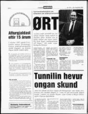 Síða 4
