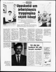 Síða 5