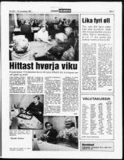 Síða 7