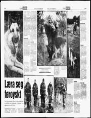 Síða 8