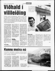 Síða 3