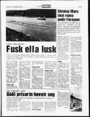 Síða 5