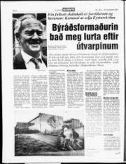 Síða 6