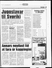 Síða 17
