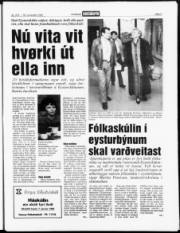 Síða 3
