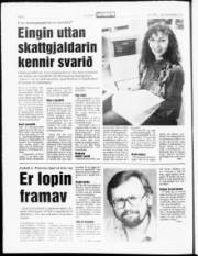 Síða 6