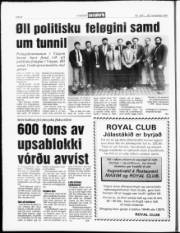 Síða 8