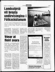 Síða 3