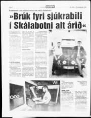 Síða 6