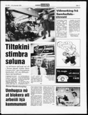Síða 11