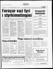 Síða 17