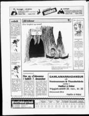 Síða 24