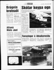 Síða 6