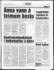 Síða 13
