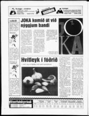 Síða 16