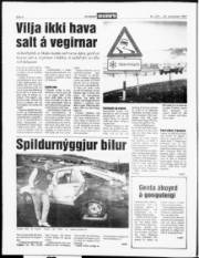 Síða 4