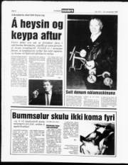 Síða 8