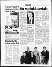 Síða 14