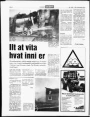 Síða 6