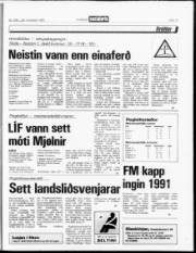 Síða 17