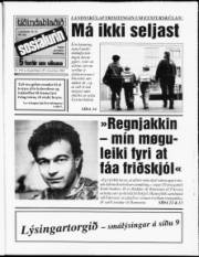 Síða 1