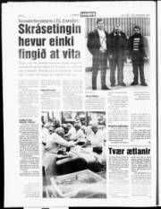 Síða 8