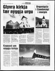 Síða 11