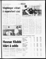 Síða 17