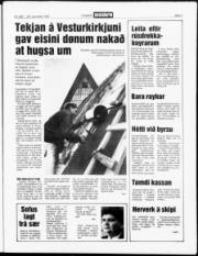 Síða 3