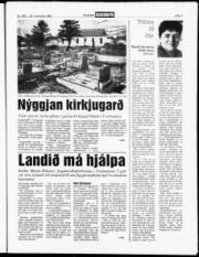Síða 7