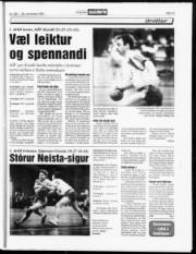 Síða 13