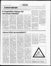 Síða 17