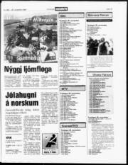 Síða 19
