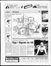 Síða 20