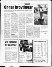 Síða 14