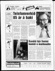 Síða 20