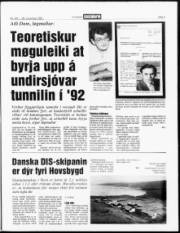 Síða 3