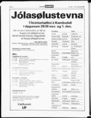 Síða 12