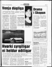 Síða 13