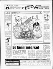 Síða 16